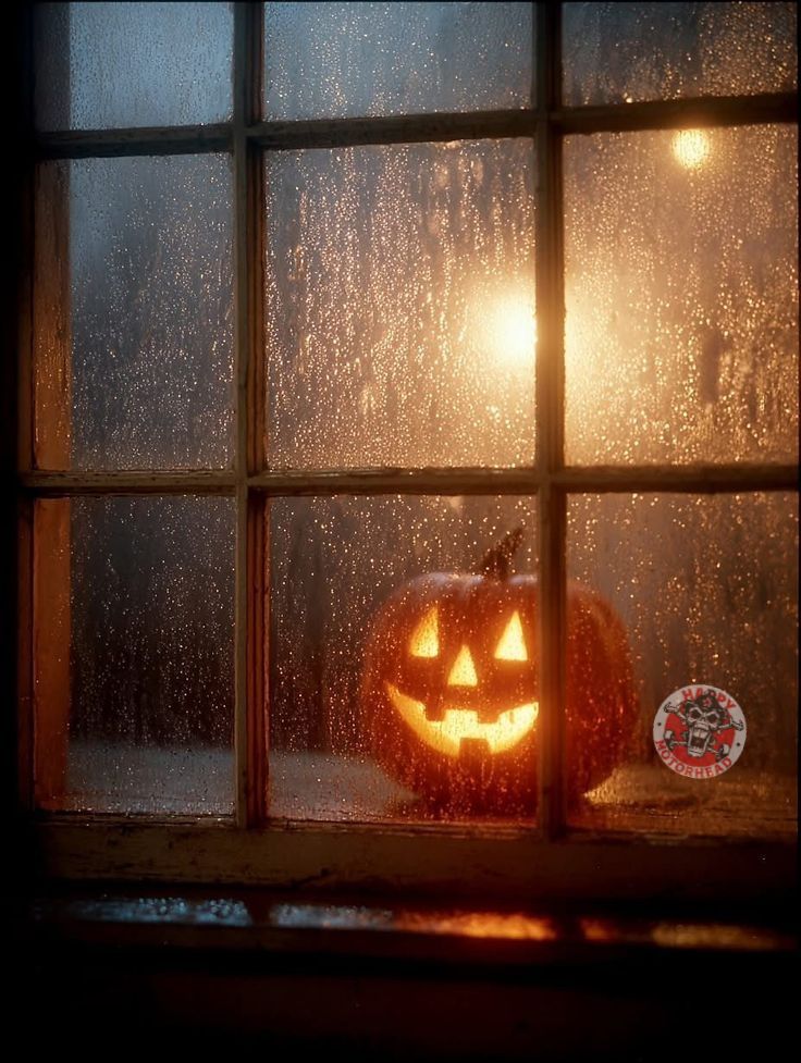 HappyMotorhead's tweet image. ♦️🔸️💎🔸️♦️🔹️💎🔹️♦️🔸️💎🔸️♦️

#Halloween