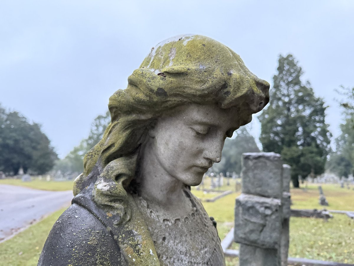 I sat with my anger long enough until she told me her real name was grief.
- C.S. Lewis