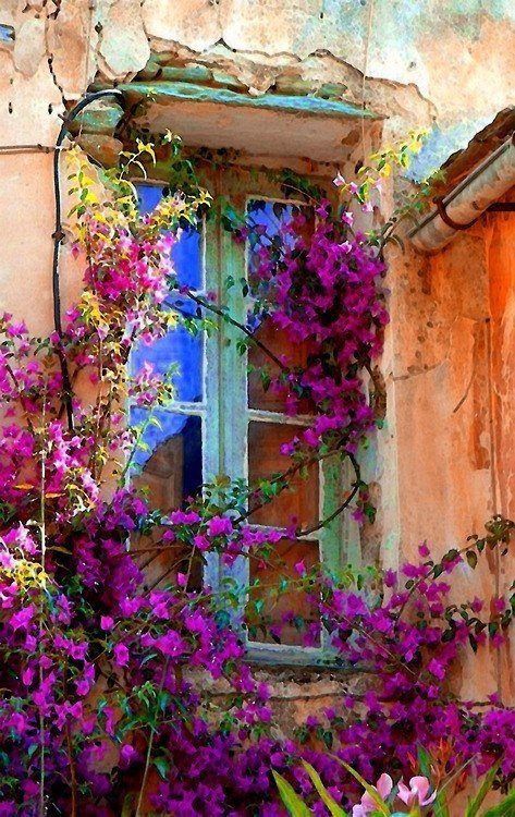 صباح الخير ثم : 
 اللهم أيامًا مشرقة كالشمس، وأوقاتًا هادئة كنسيم الفجر، وسعادة أعمق من البحر وألطف من النسيم. ♥️
#الجمعه #يوم_الجمعة #صباح_الخير