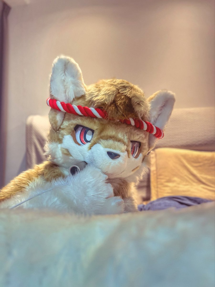 玄泷🔜❓ tweet media