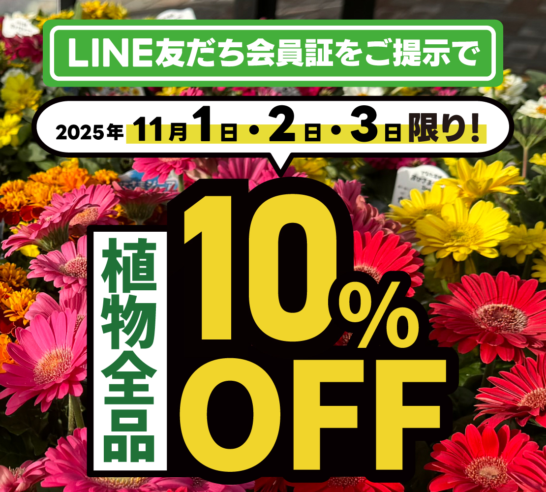 本日と明日限り‼️ 植物全品が全店10%OFF👍 ＼ #グッデイ 全店でLINE