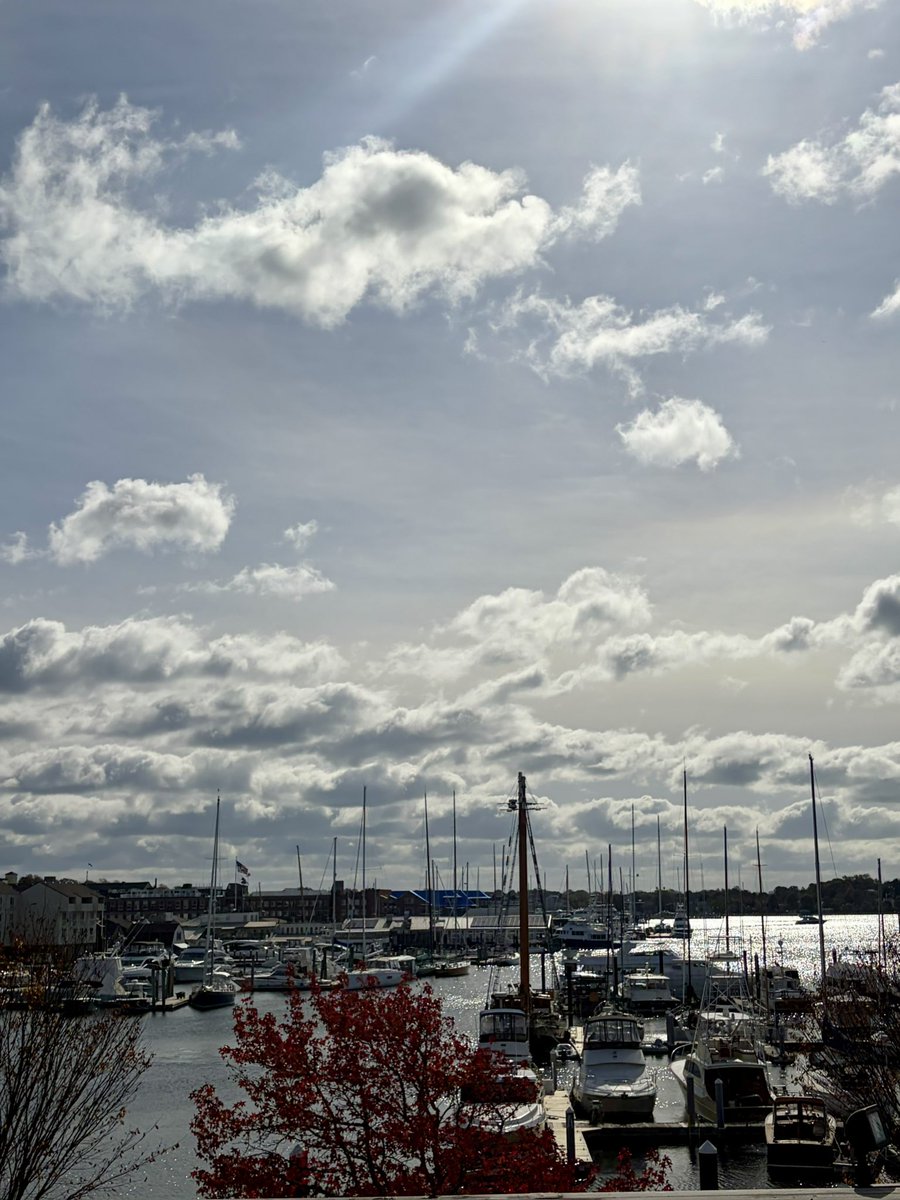 StackMap's tweet image. We had such a wonderful time at #NELA2025!! #Wayfinding #Libraries #FindBooksNotCallNumbers