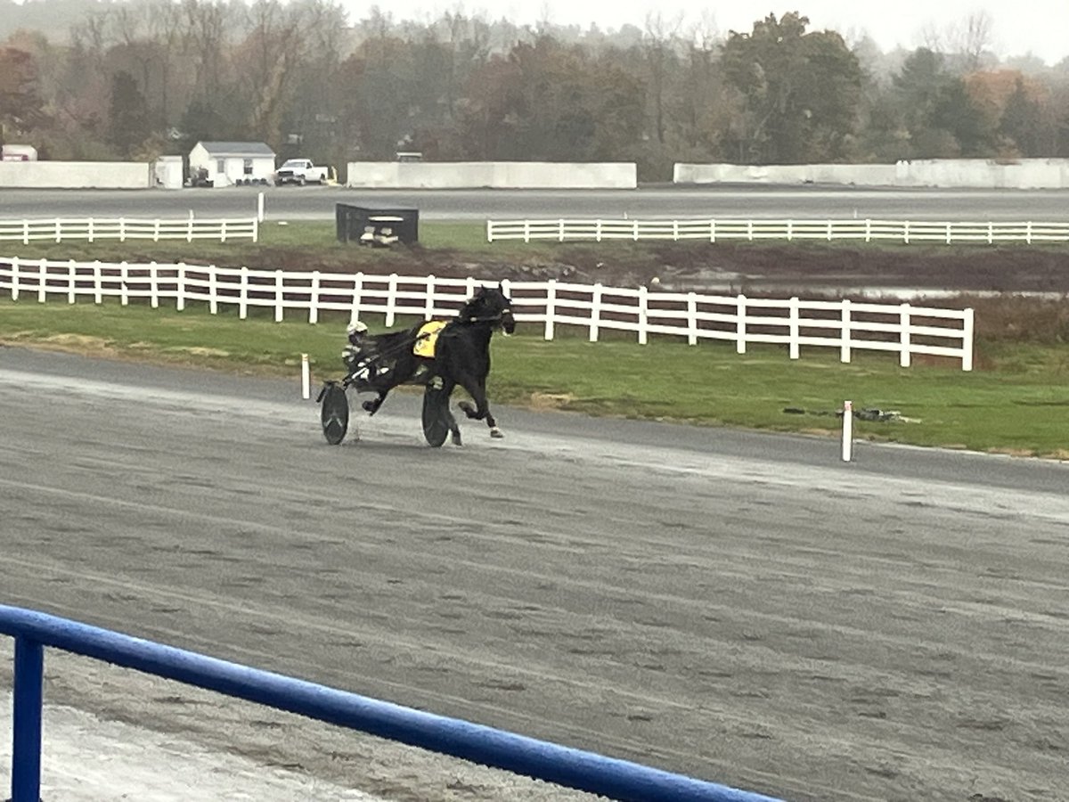 RayColevas🐎🐎 tweet media