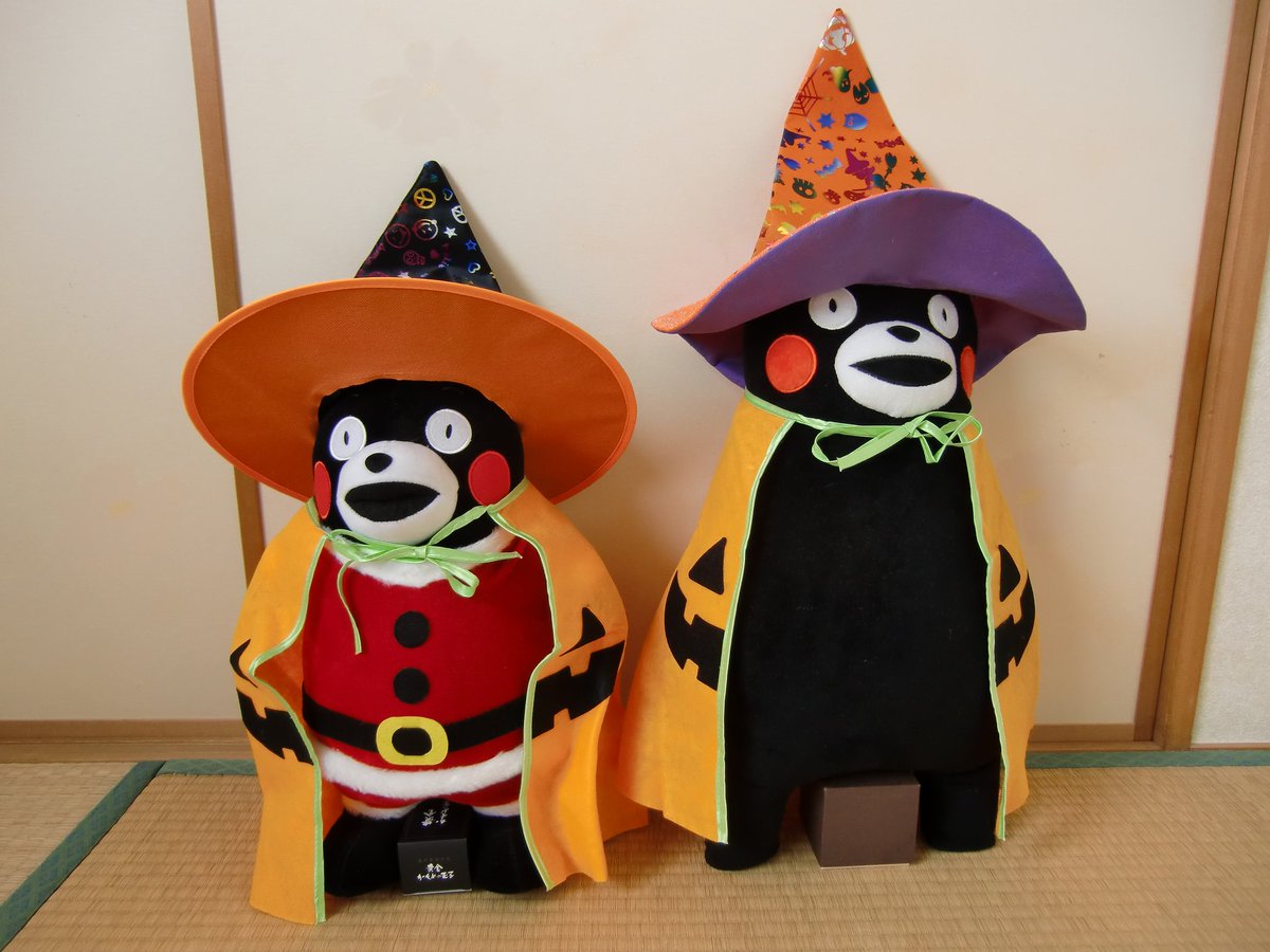 ꒰ᐢ⸝⸝⸝⸝ᐢ꒱ on X