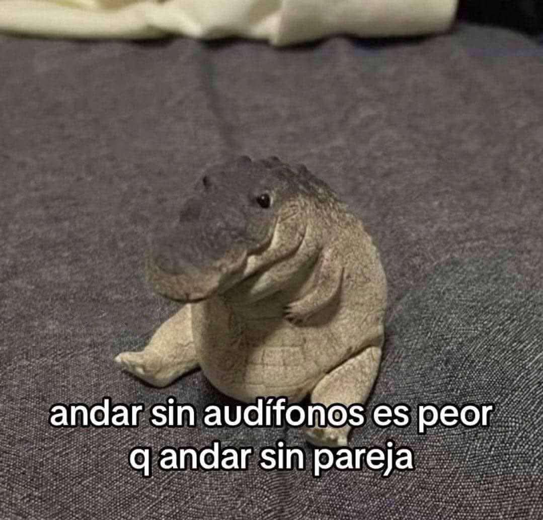 Animalesaprieto's tweet photo. https://t.co/Orhpau0RyH