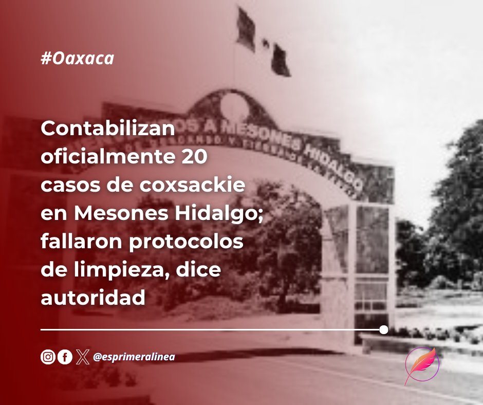 Primera Línea Mx tweet media