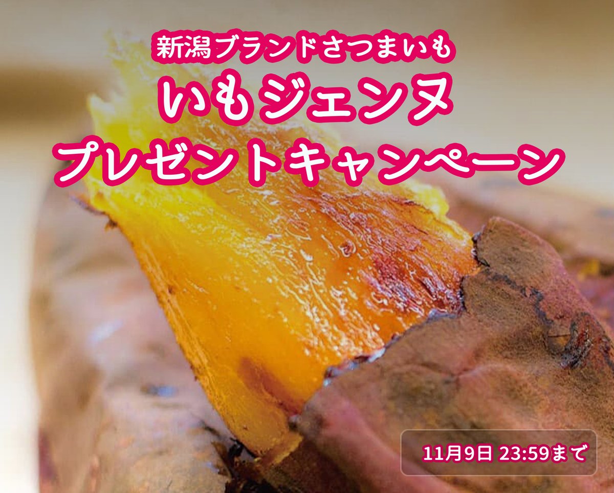 nanami (@777mi) / Posts / X