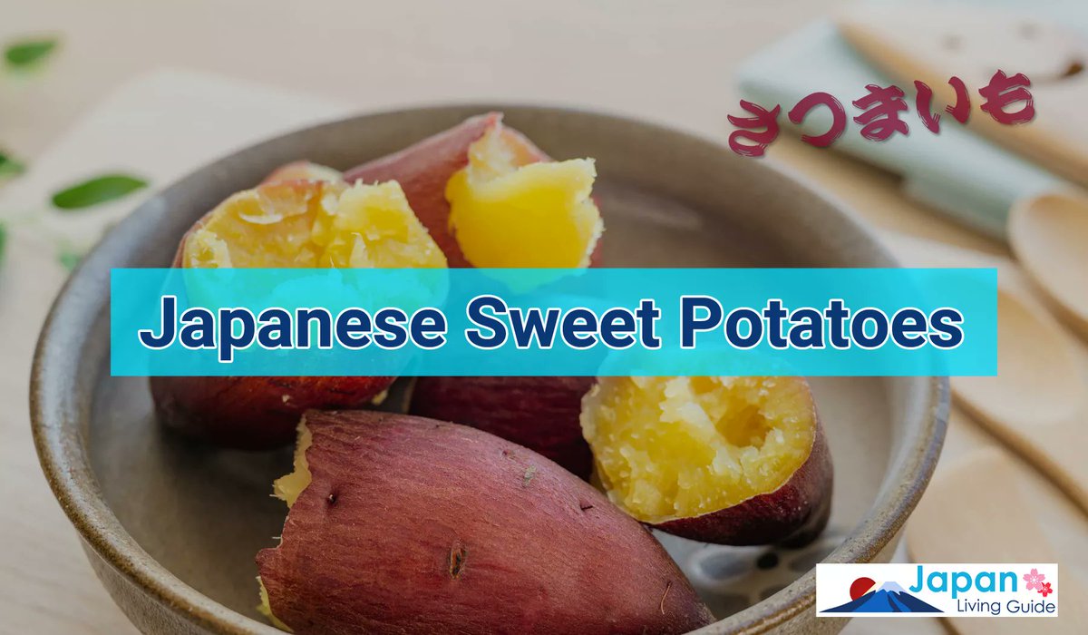 JLivingGuide's tweet image. Japanese sweet potato or satsumaimo are nutritious and are often seen as a symbol of autumn in Japan. In this article, will look further into Japanese sweet potatoes, the different varieties, and some simple recipes to best use their unique flavor.
japanlivingguide.com/lifestyle/japa…