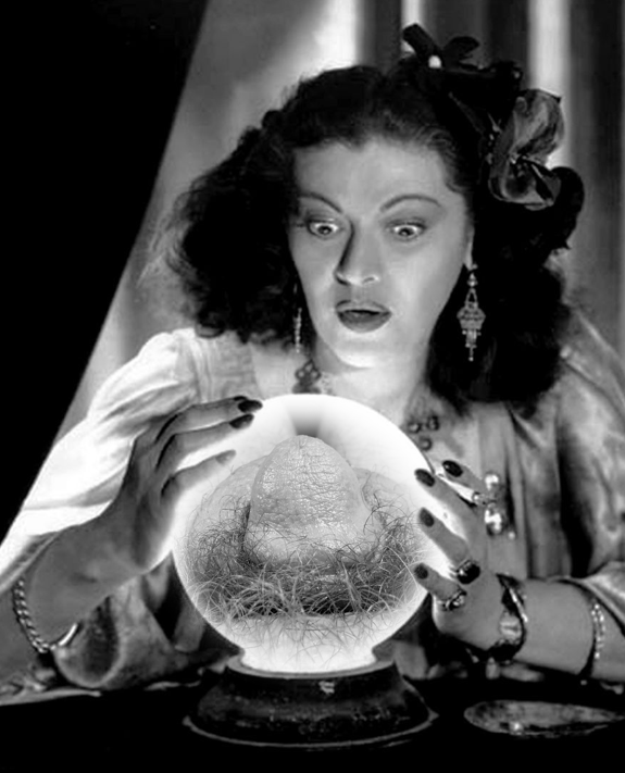 SmallPenisPositivity tweet media