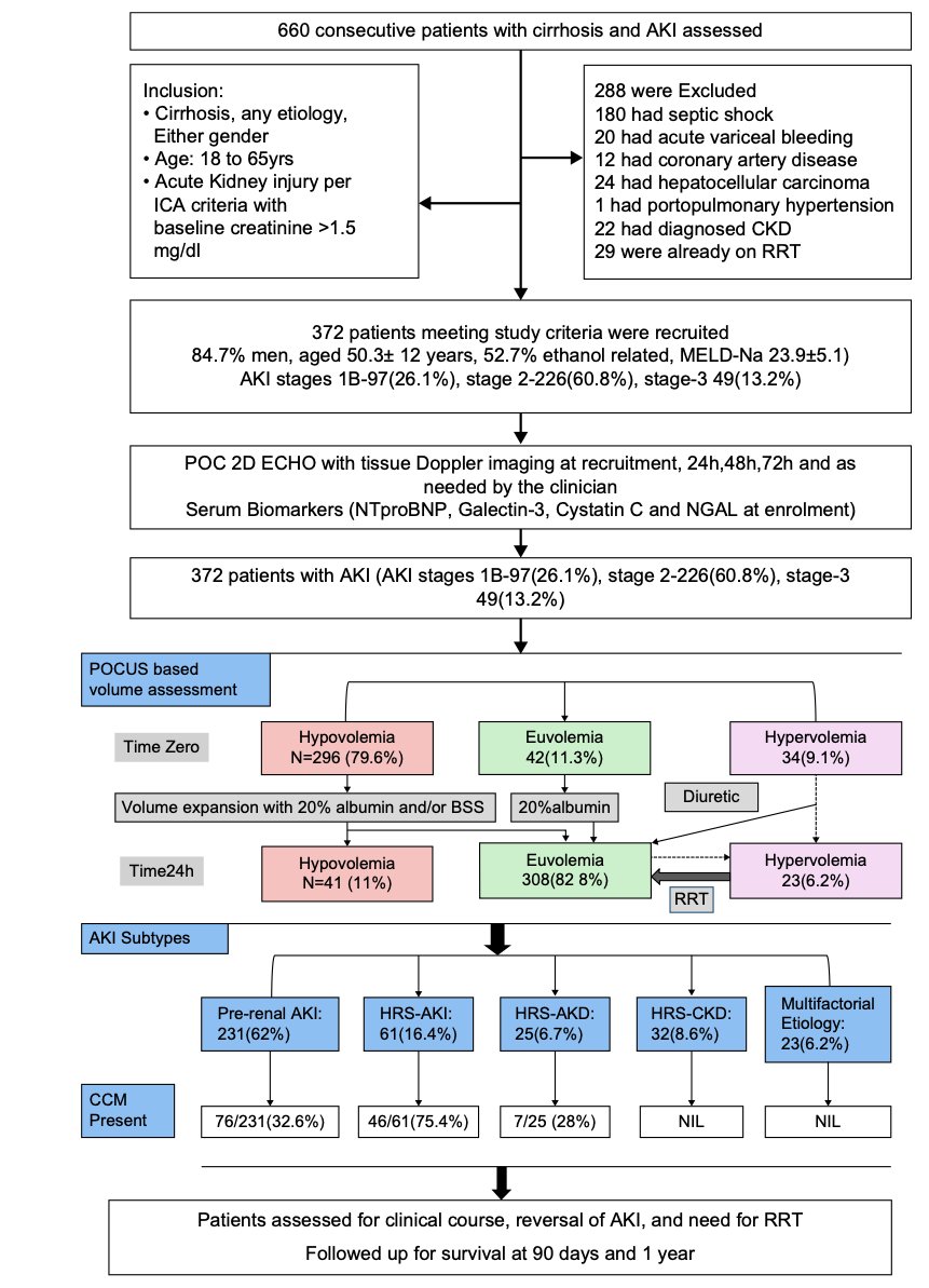 JoseAyonM's tweet photo. 📑Point-of-care ultrasound (POCUS)–guided volume management and the effect of cirrhotic cardiomyopathy on acute kidney injury outcomes in cirrhosis

DOI: 10.1097/HEP.0000000000001524 https://t.co/2xMf1LHWeq