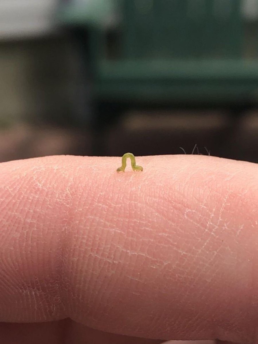 Thinkwert tweet media