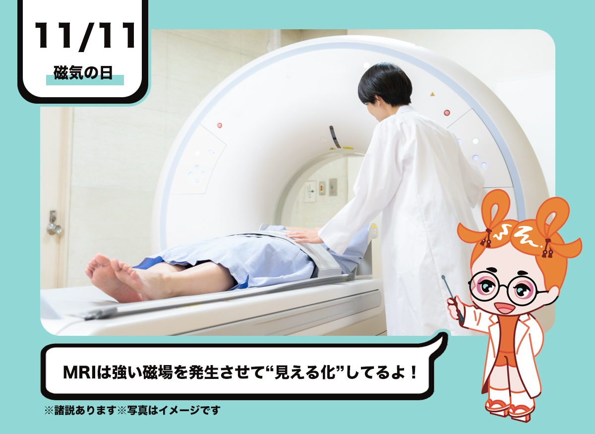 mri 磁石