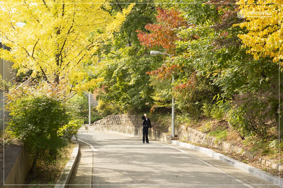 EwhaWomansUniv's tweet photo. [Today’s EwhaCam] Fall is coming in Ewha Campus

#fallcampus #soonwinter #waitingfortheautumnleaves #beautifulewhacampus #ewhawomansuniversity #EWHA #UNIV https://t.co/LBfKhBnvQJ