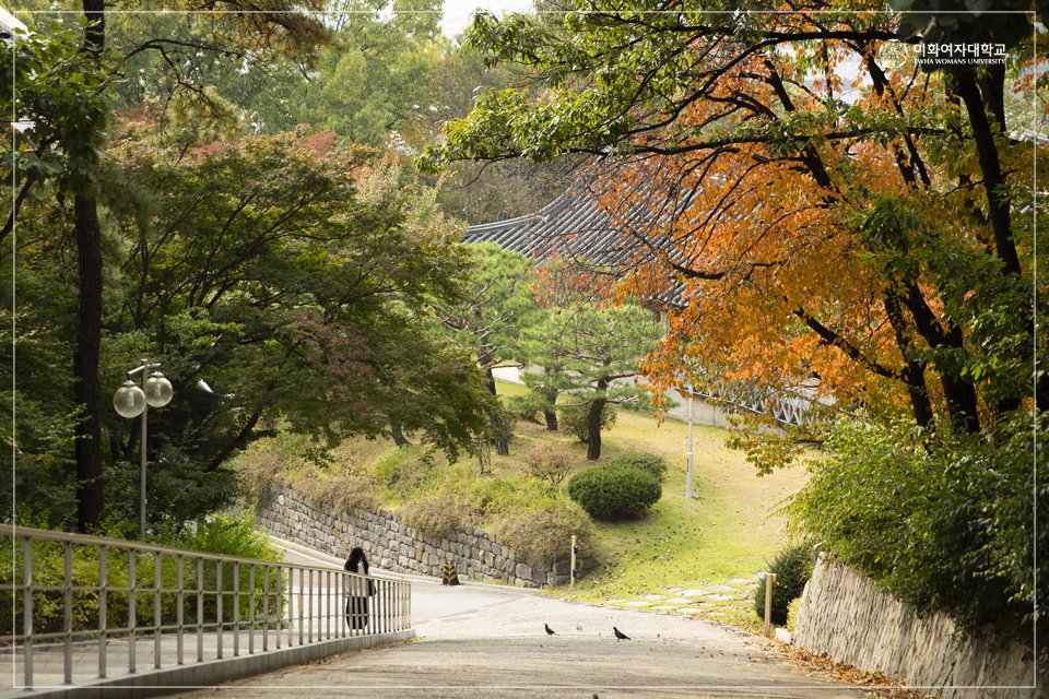 EwhaWomansUniv's tweet photo. [Today’s EwhaCam] Fall is coming in Ewha Campus

#fallcampus #soonwinter #waitingfortheautumnleaves #beautifulewhacampus #ewhawomansuniversity #EWHA #UNIV https://t.co/LBfKhBnvQJ