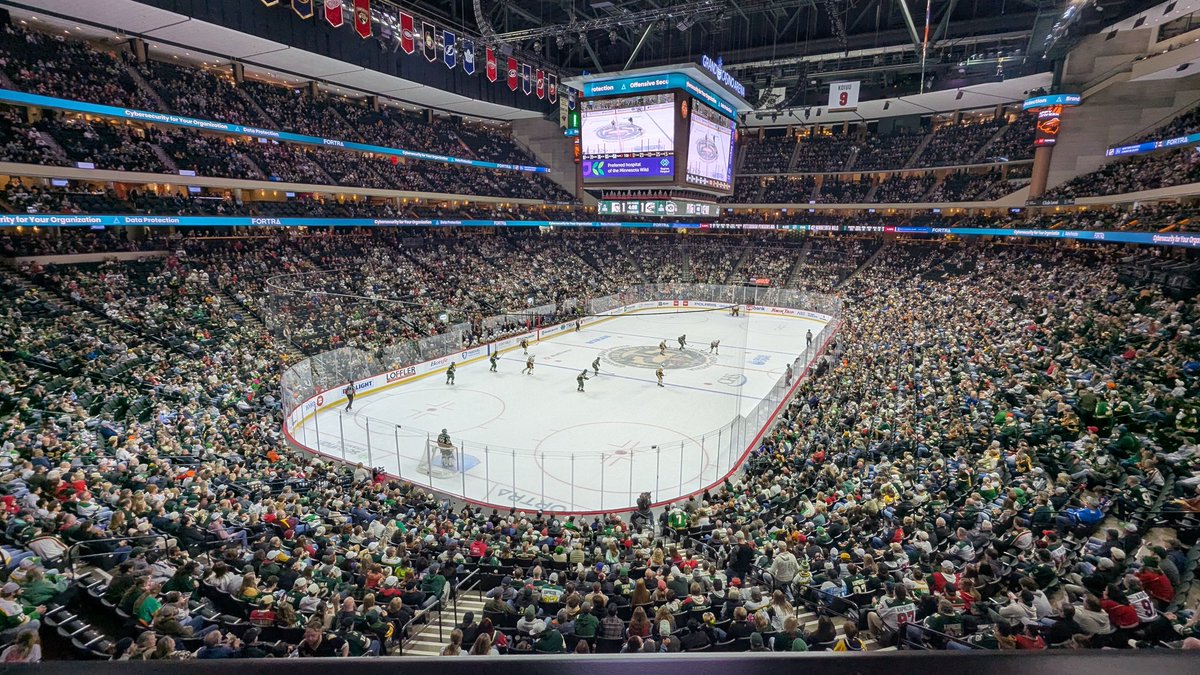 paddytim's tweet image. Go Wild