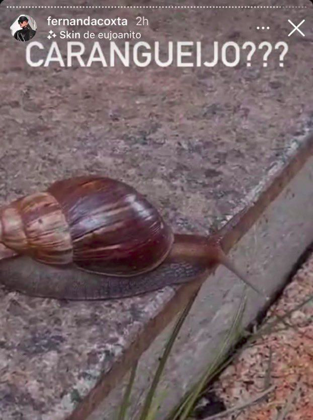 ykkmiguel2's tweet image. essa imagem me destroi toda vez vsf