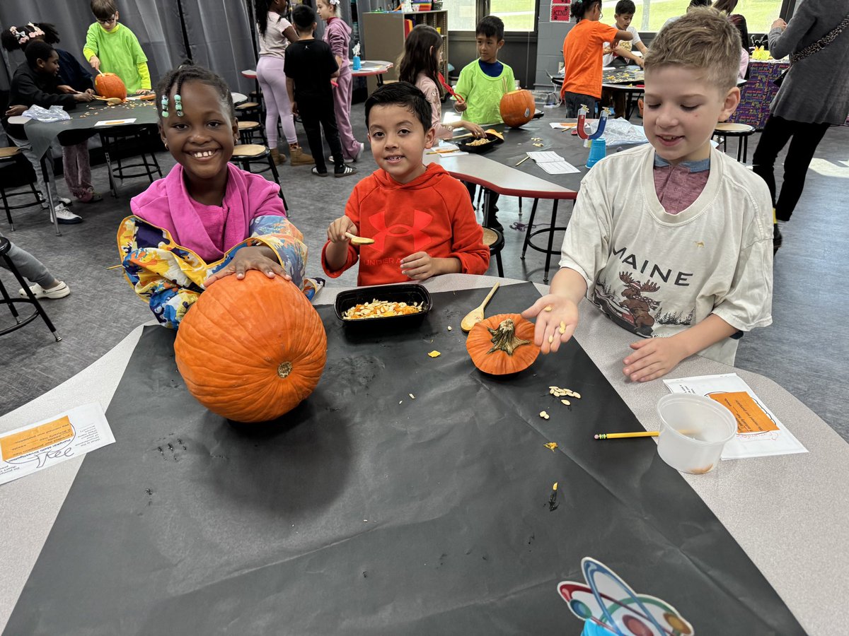 d61porter's tweet photo. The pumpkin investigation was so much fun in STEM! Thanks Mrs. Hendron! #d61learns https://t.co/IrEVVqZsOs
