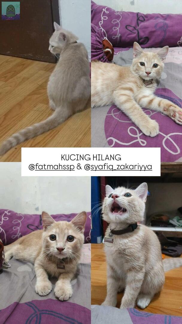 Tanyarl 💚 tweet media