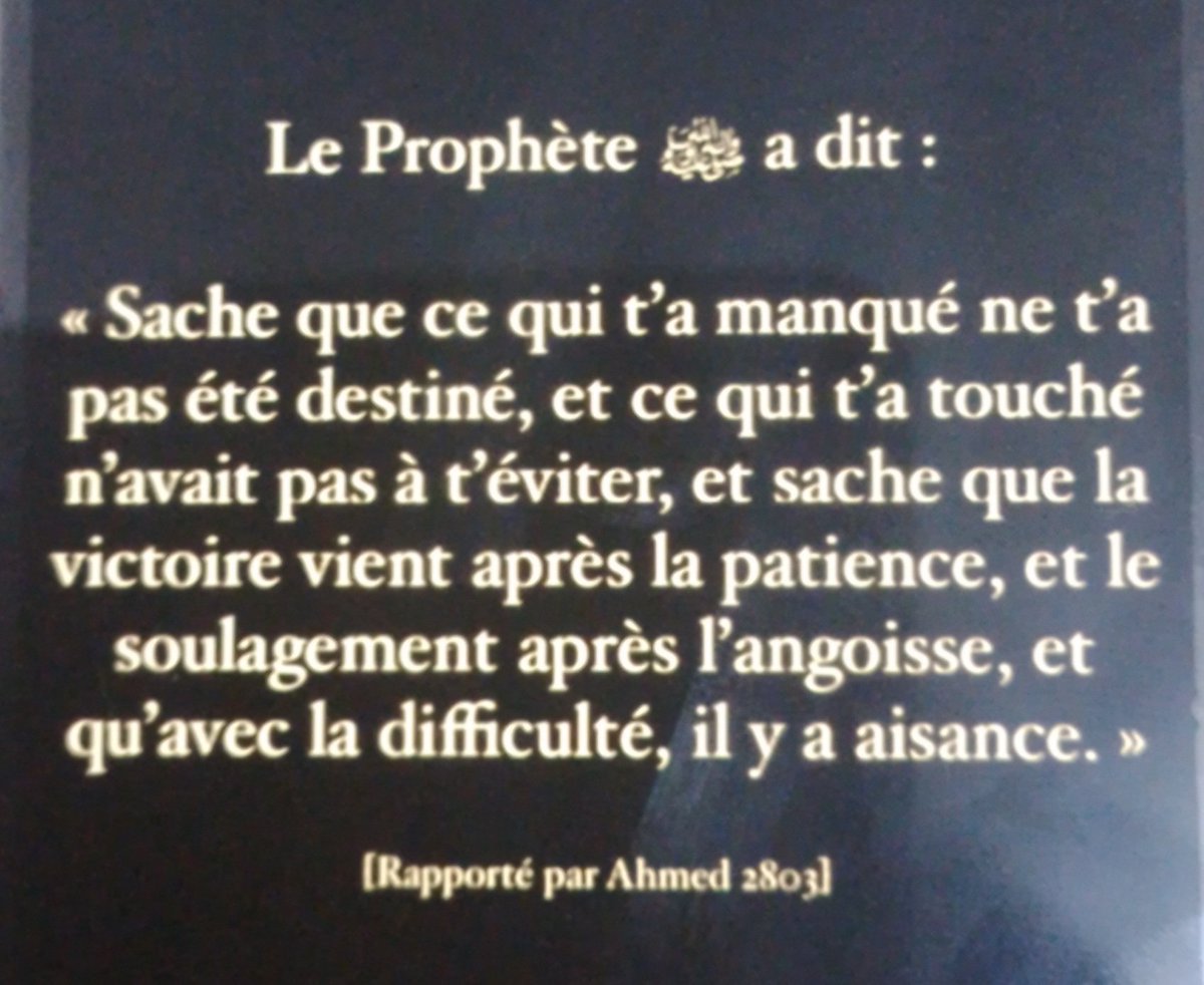 SebaGolfa's tweet image. Bonne nuit au nom de tous les miens...♥️

#ToWhomItMayConcern