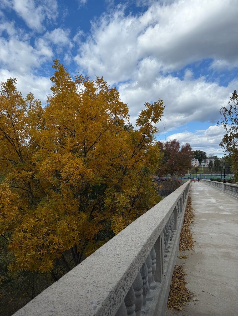 Fall colors 🍁🍂