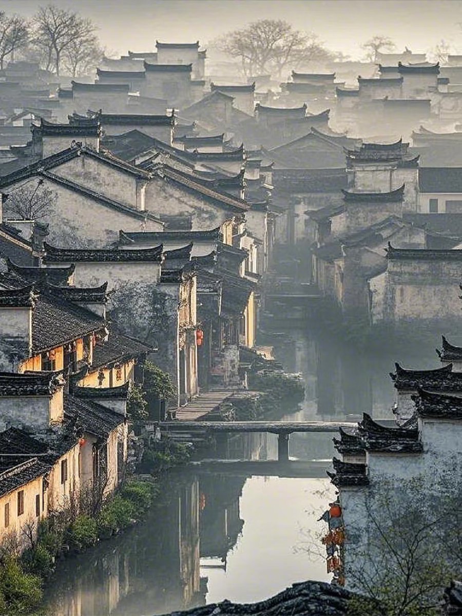 石泉小鹿🌸互fo tweet media