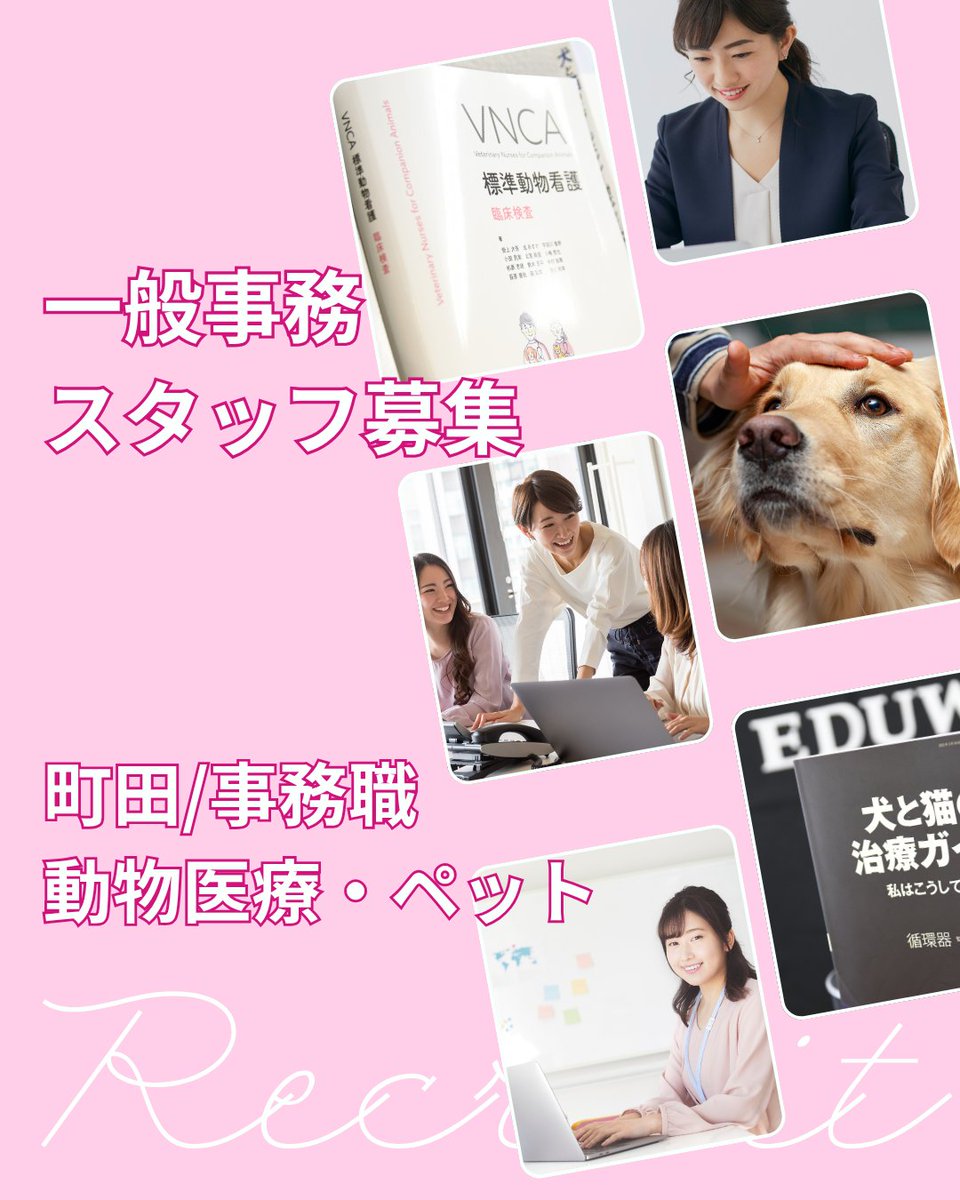 eduonecareer's tweet photo. 【一般事務スタッフ募集のお知らせ】
ペット医療を支える出版社・EDUWARD Pressで事務職を募集中！
🚉小田急町田駅から徒歩3分、JR町田駅5分
🕘9–18時（実働8h）
👚土日祝休み・残業なし・服装自由
📚女性・子育て世代多数活躍中！
▼ご応募はこちらから
https://t.co/u67wncVxxu
#求人 #町田 #パート https://t.co/X4WaLhjszw