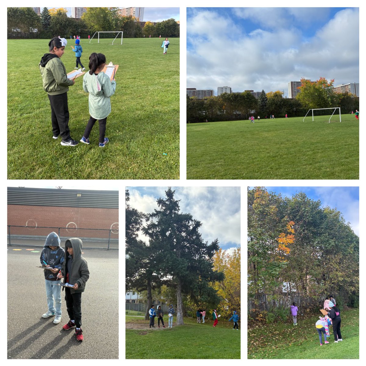 Fallingdale PS tweet media