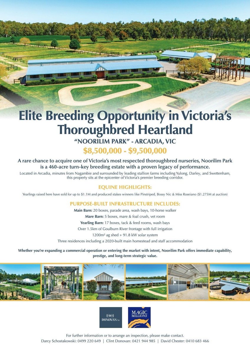 🪧 FOR SALE 🪧

<a href="/NoorilimPark/">Noorilim Park</a> - Elite breeding opportunity in Victoria's thoroughbred heartland 🤩
View here: magicmillions.com.au/noorilimpark/ 

<a href="/DonovanClint/">Clint Donovan</a> <a href="/mmsnippets/">Magic Millions</a> <a href="/darcyschosta/">Darcy Schostakowski</a>