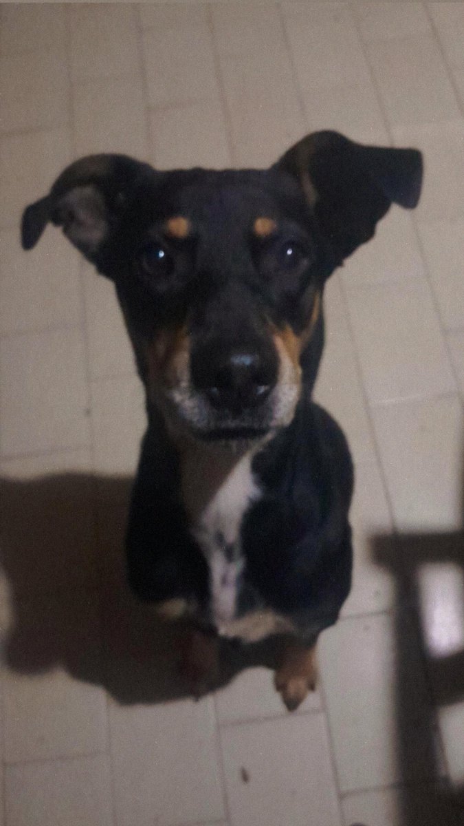 luna ✭ tweet media