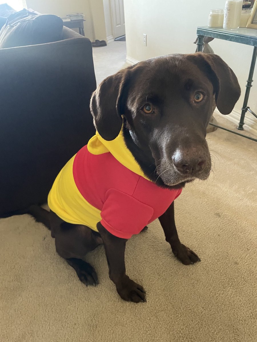 I really AM a happy Pooh Bear for Halloween! <a href="/emilymadelyn_/">emily dear</a>  Now give me some treats!!