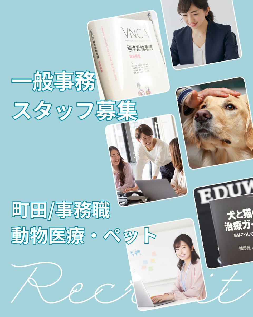 eduonecareer's tweet photo. 【一般事務スタッフ募集のお知らせ】
ペット医療を支える出版社・EDUWARD Pressで事務職を募集中！
🚉小田急町田駅から徒歩3分、JR町田駅5分
🕘9–18時（実働8h）
👚土日祝休み・残業なし・服装自由
📚女性・子育て世代多数活躍中！
▼ご応募はこちらから
https://t.co/u67wncUZHW
#求人 #町田 #パート https://t.co/mOUFwNQkkv