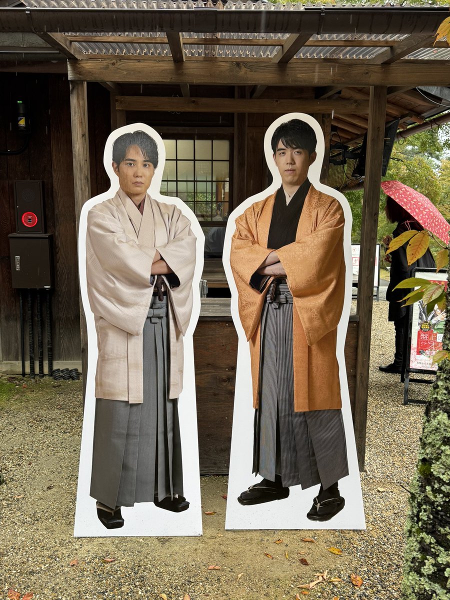 ひな祭り♡仲良しヒヨコ 🌵🦀ひよこちゃん🦀🌵 on X