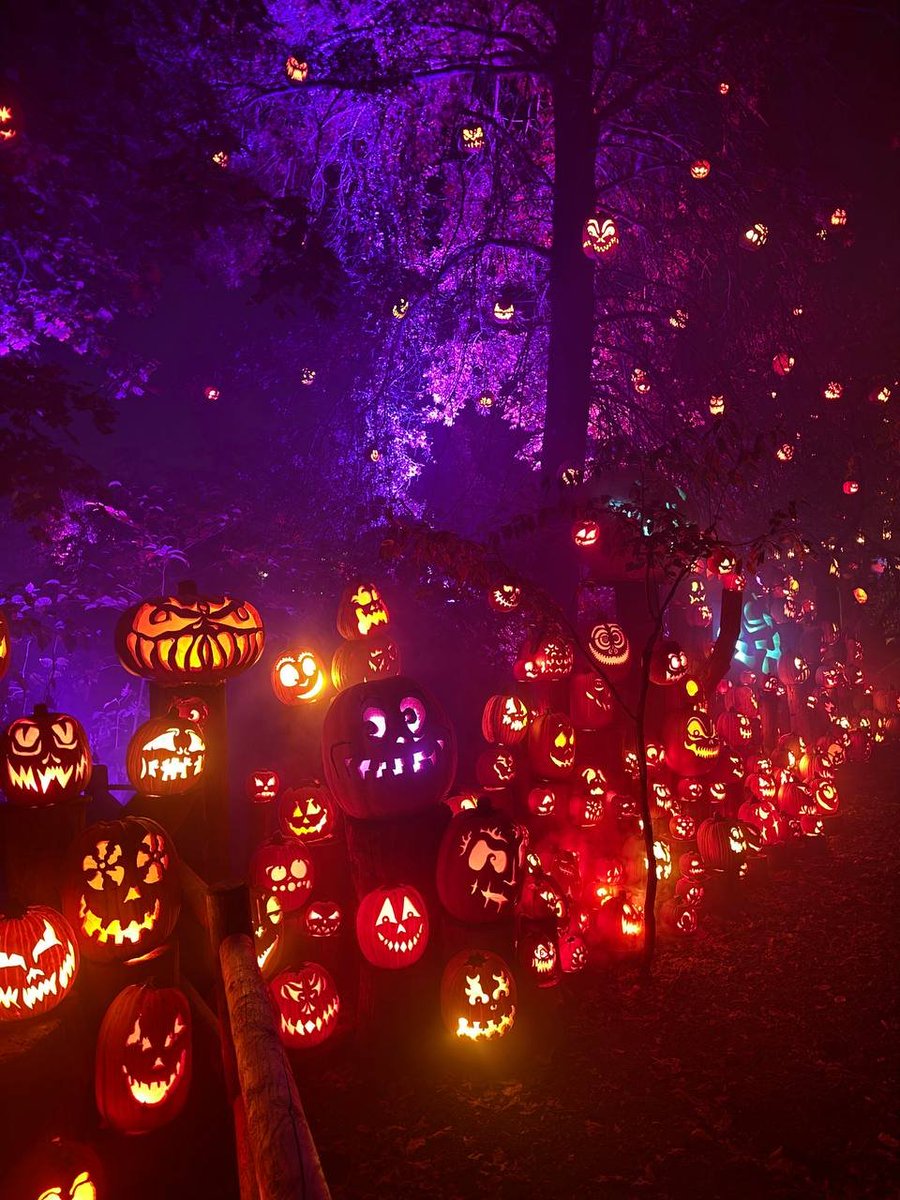 Emma2ge's tweet photo. #Sharing #Photos #CasualShots #Halloween #PumpkinLanterns🫣🫣 https://t.co/zGE7HQU8vQ