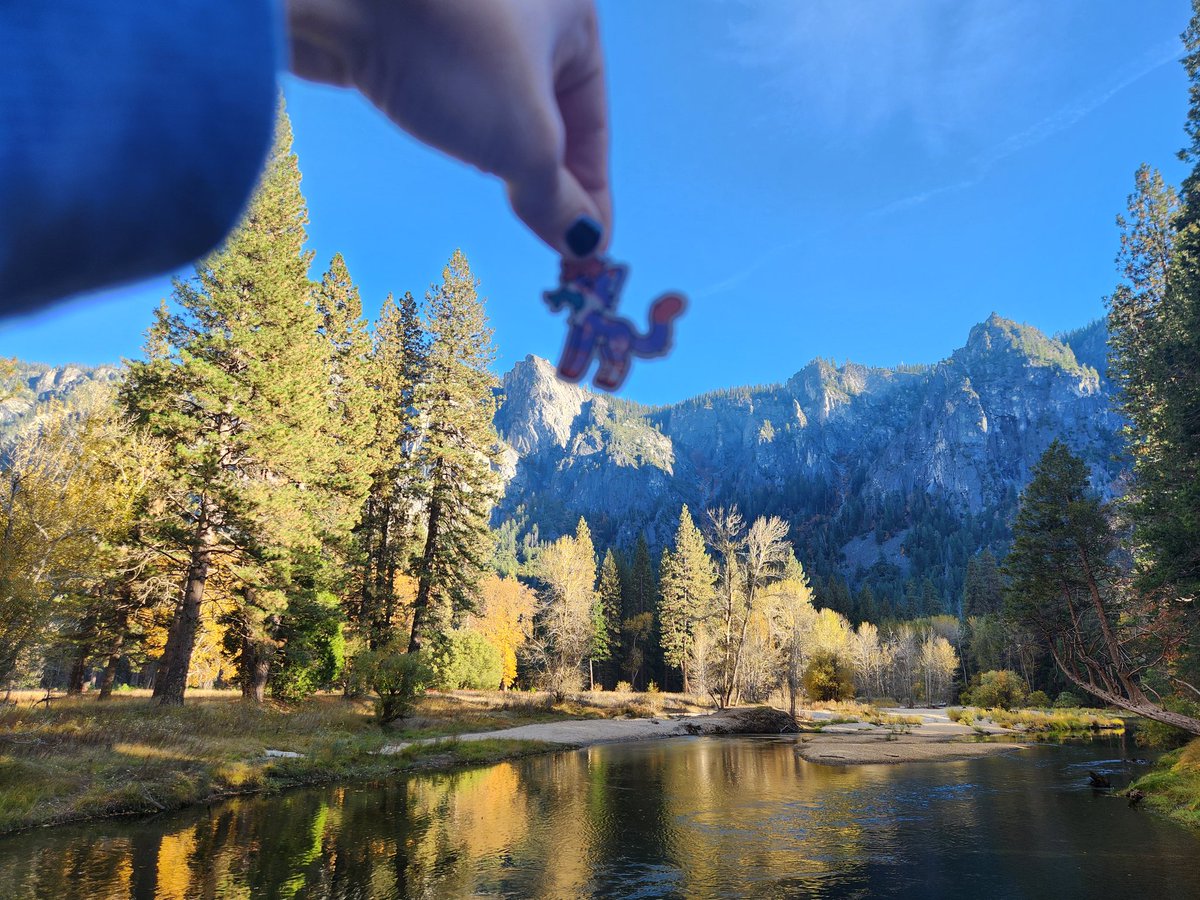 socks 🔜 AC tweet media