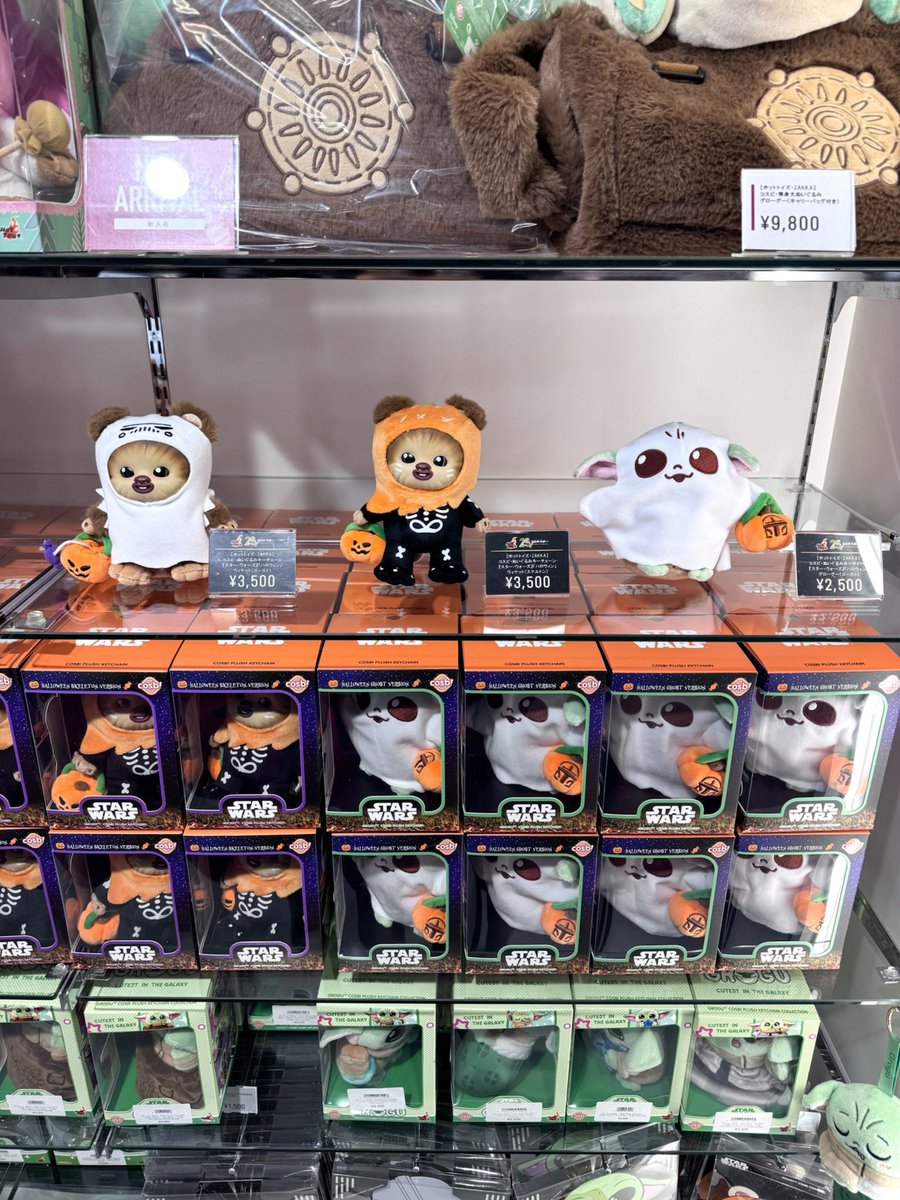 🔥本日から店頭販売開始！🔥 トイサピエンス先行販売！ 【ホットトイズ