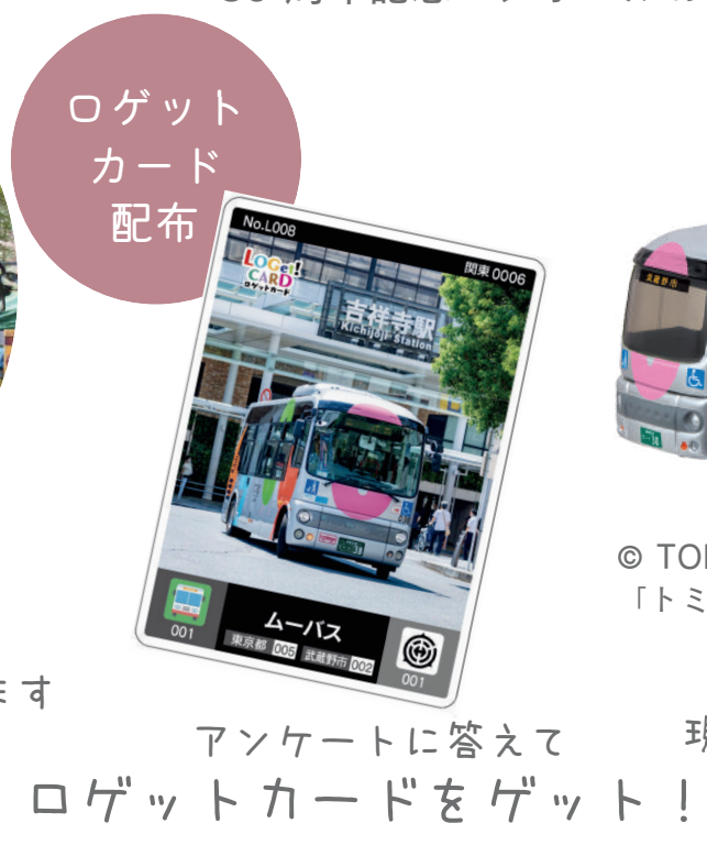 MaiiaM♡お気軽にコメントください様 確認用 なりすましアカウントにご注意ください🚨】 2025年8月20日現在