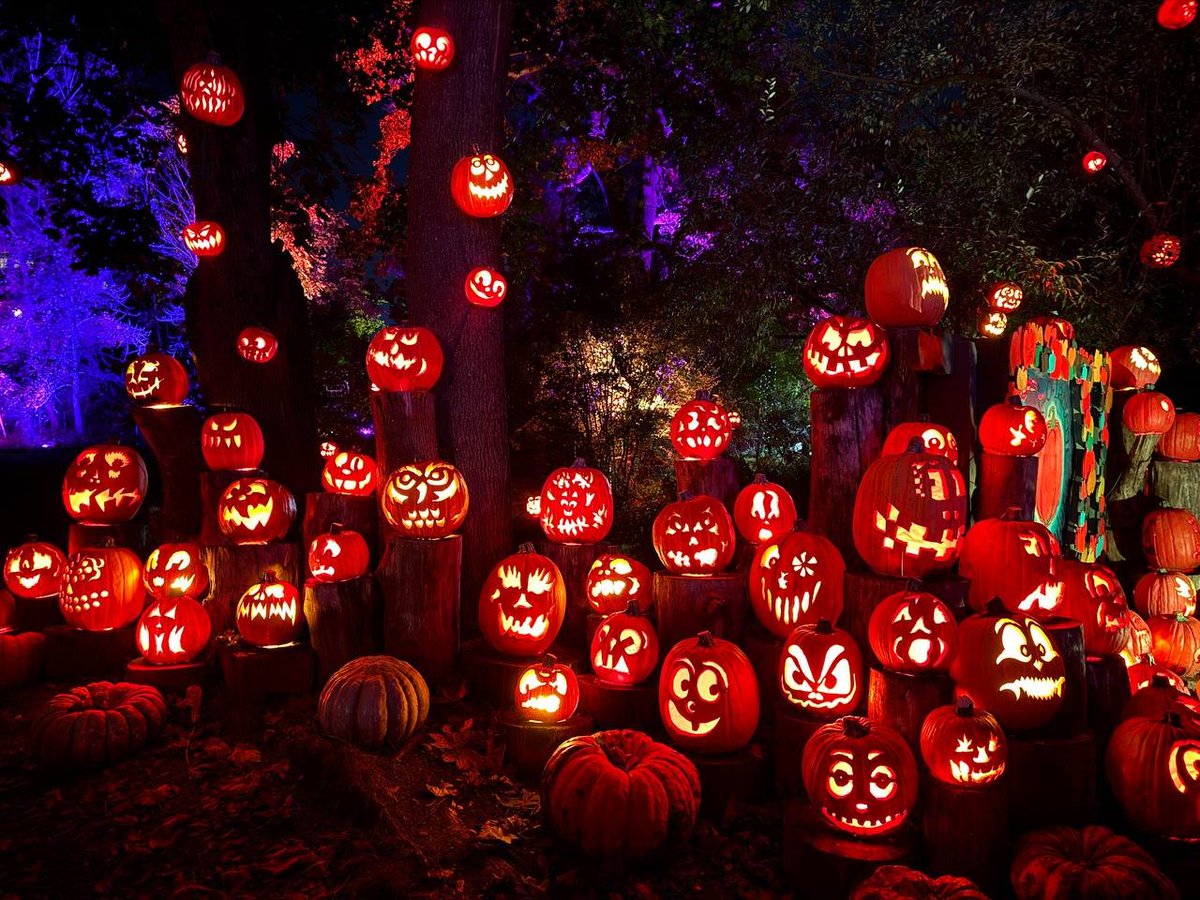 Emma2ge's tweet photo. #Sharing #Photos #CasualShots #Halloween #PumpkinLanterns🫣🫣 https://t.co/zGE7HQU8vQ