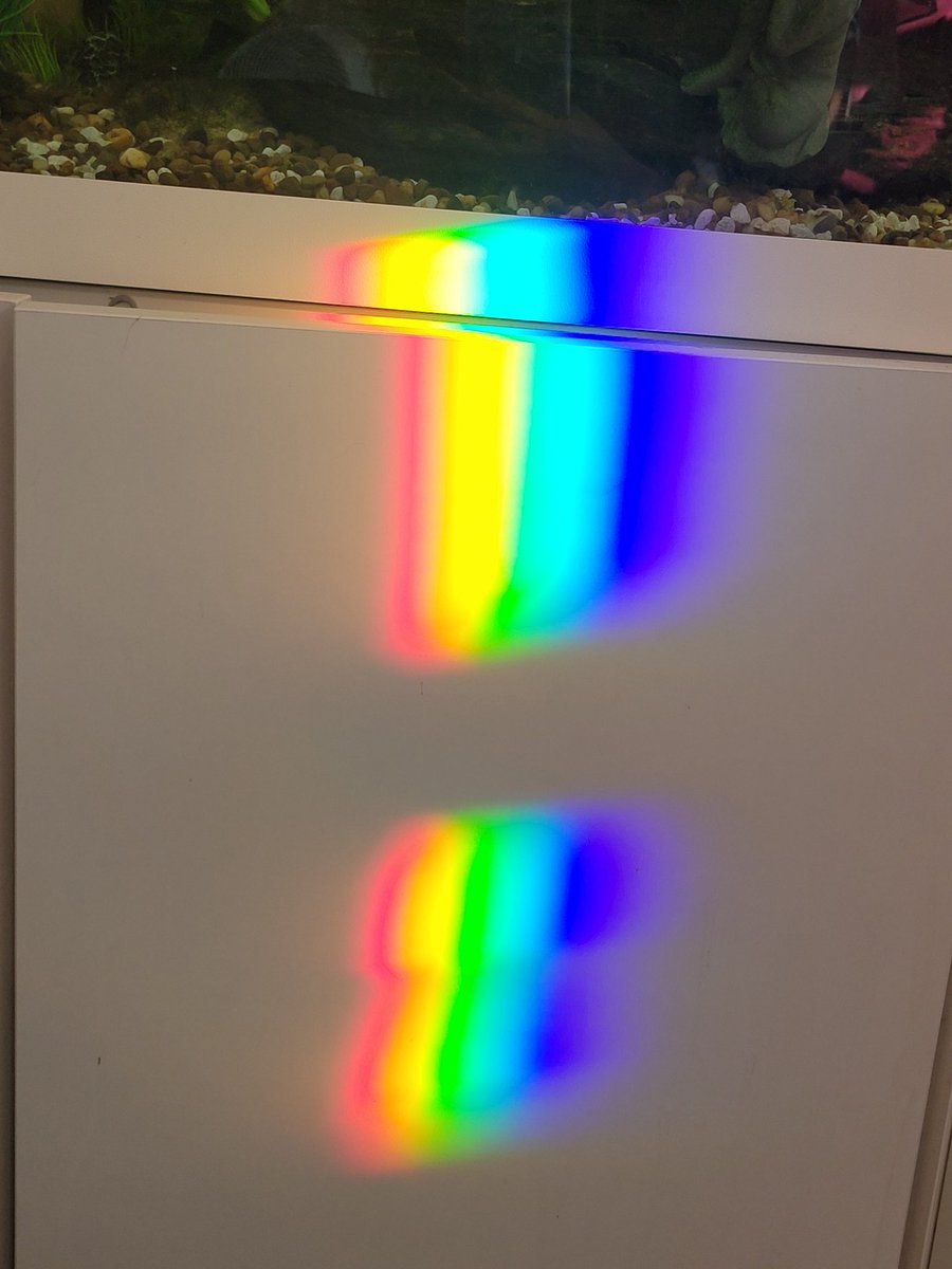 Some amazing rainbow colors projected onto the turtle and fish tanks. 😃