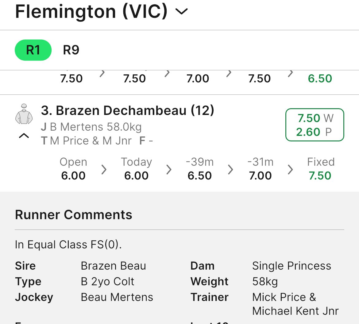 bradbishop12's tweet photo. This fella a leading contender for best-named horse going around on Cup Day. Love it! ⛳️ 
Jumpout win was slick, too. https://t.co/L4in4uU81L
