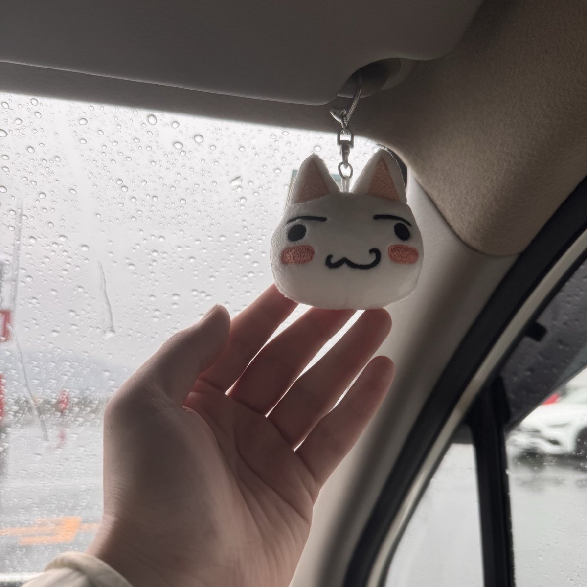 にゃんこ (@fukafuka_nyanko) / Posts / X