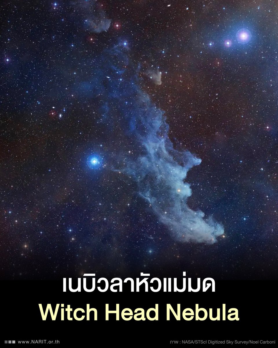 เนบิวลาหัวแม่มด (Witch Head Nebula) หรือ IC2118 เนบิวลาชนิดสะท้อนแสง อยู่ใกล้กับดาวไรเจล (Rigel) หนึ่งในดาวฤกษ์สว่างเด่นประจำกลุ่มดาวนายพราน (Orion)