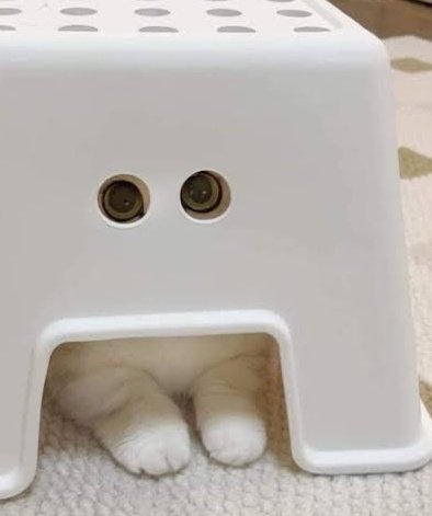 hitoreigoto's tweet image. happy halloween!

inspiration ​  ​  ​  ​  ​  ​  ​  ​  ​  ​  ​  ​  ​  ​  ​  ​  ​  ​  ​  ​  ​  ​  ​  ​ ↴

#mlpart #mlpderpy