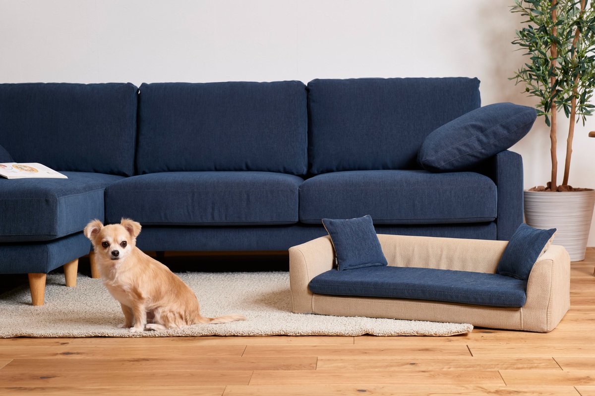 オーダーソファblocco(ブロッコ) (@blocco_sofa) / Posts / X