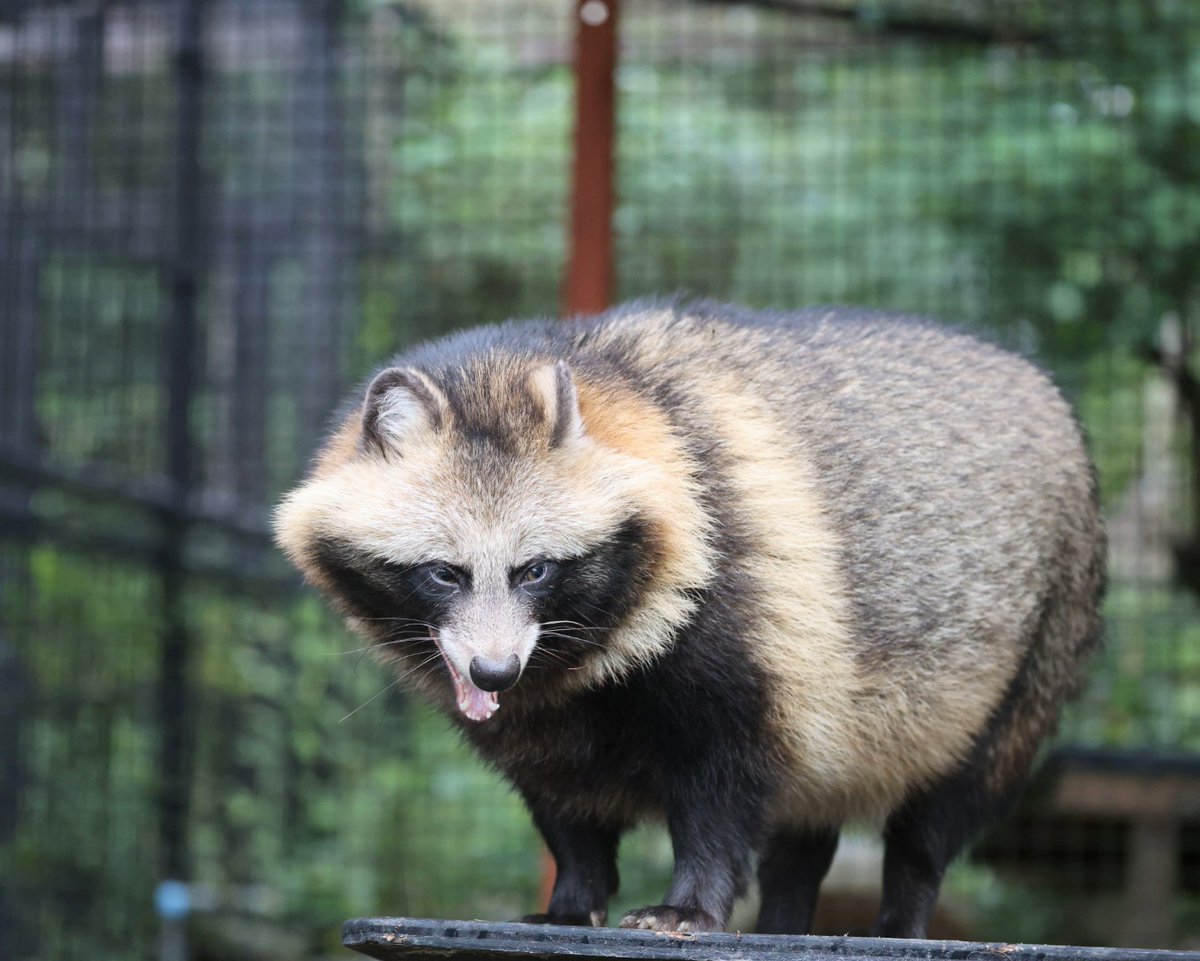 みるきー様☆専用ページ みるきーは忙しさと暇の狭間🤤 (@milkyways_popo) / Posts / X