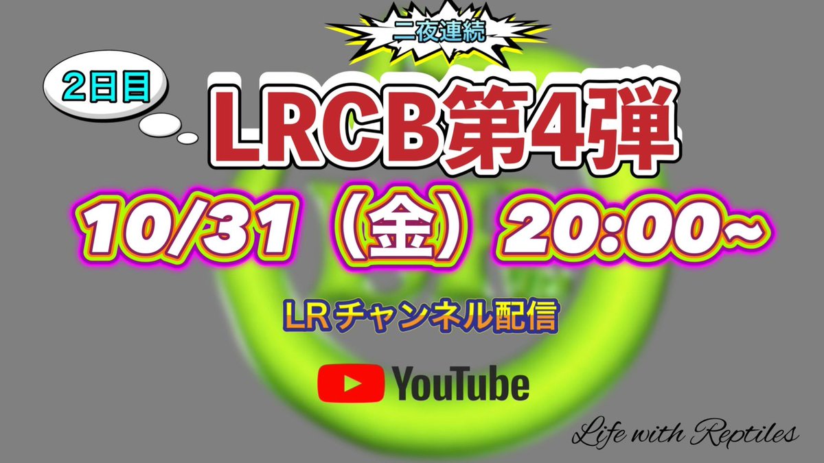 LR63112026's tweet image. 10月31日
15:00~19:00営業🎶
いよいよ今夜20:00からは💁
✨LRCB紹介第4弾YouTubeライブ✨
youtube.com/live/ScwuDlly3…
今週末の九レプに連れていくLRCBを、ドドっとご紹介しちゃいます🥳
もちろん事前売約OKですよー🤭
是非ご視聴くださいね💕︎
#ボールパイソン
#福岡
#ballpython
#九レプ