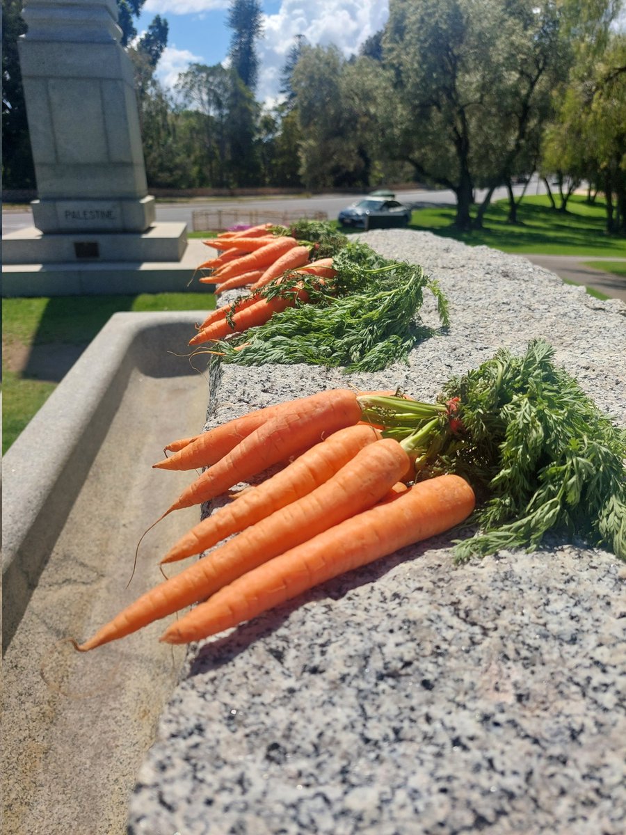 RSL South Australia tweet media