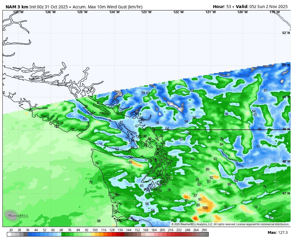 ElijahBman's tweet image. Weak AR: Tommorrow PM to Sat AM. 
Metro Van: 30-50mm 🌧️
western island: 50-100mm 👍
Puget sound up to 1In 🌧️maybe more. 
Also looking at a late breaking wave Saturday could bring locally strong wind gusts. Up to 90km/hr around 50mph. More tmr on that one. #Bcstorm #bcwind #wawx