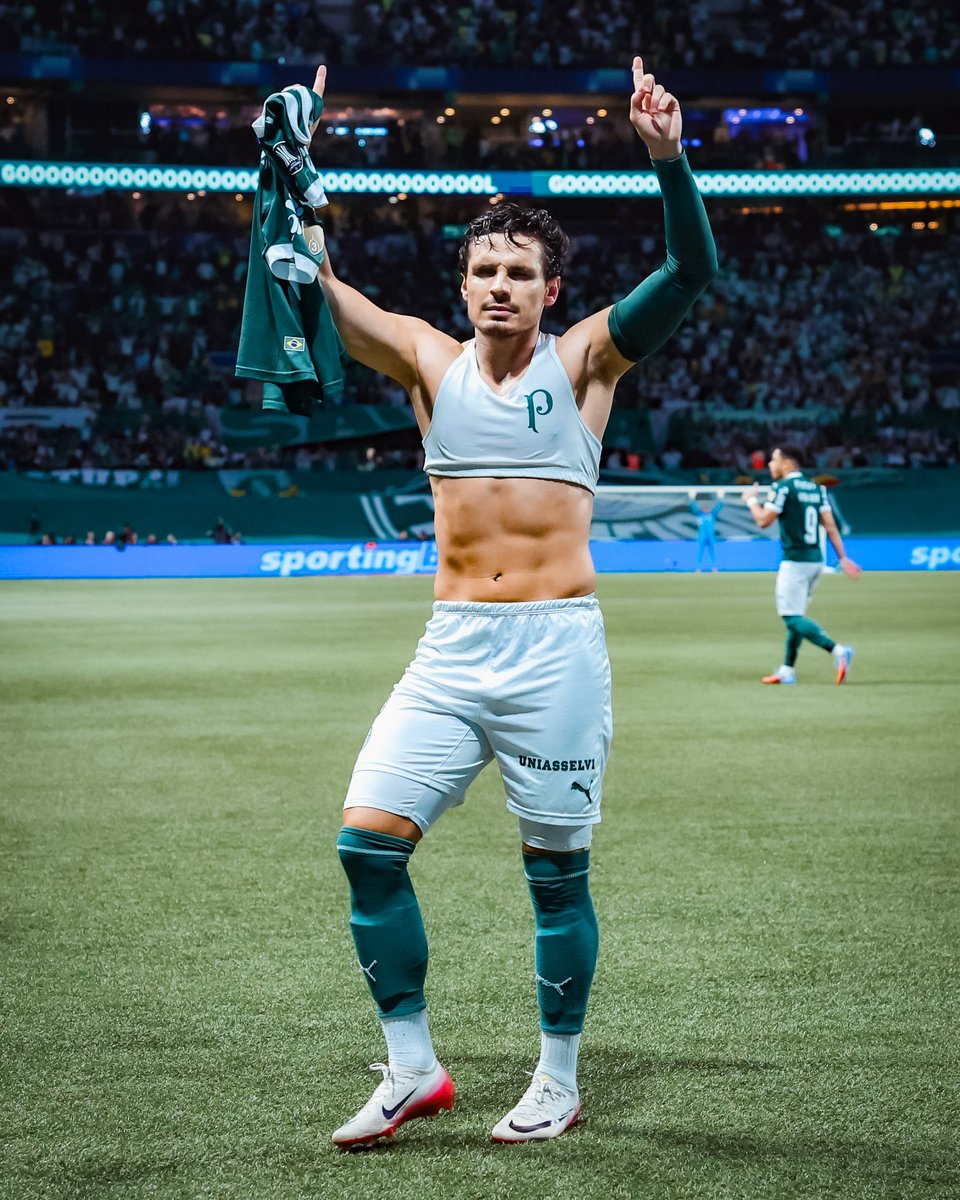 fifaworldcup_pt's tweet image. ÉPICO 💚

O @Palmeiras está na final da #Libertadores