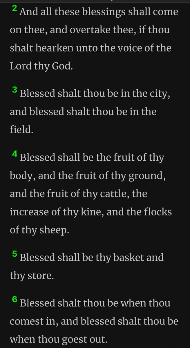 Good morning….🌞