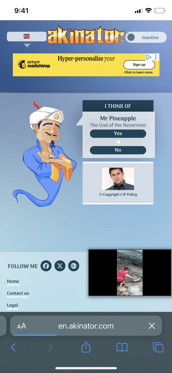 Feeding Amelie’s traits into akinator and I think he gave up